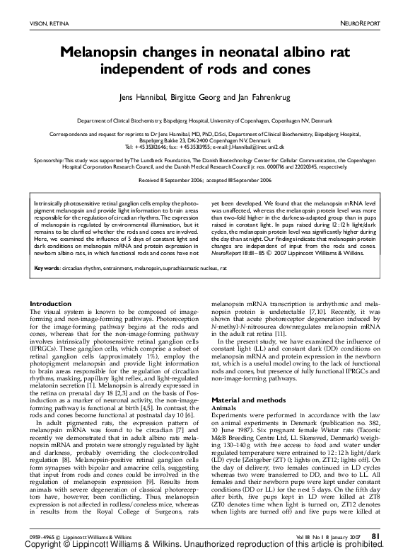(PDF) Melanopsin changes in neonatal albino rat independent of rods and ...