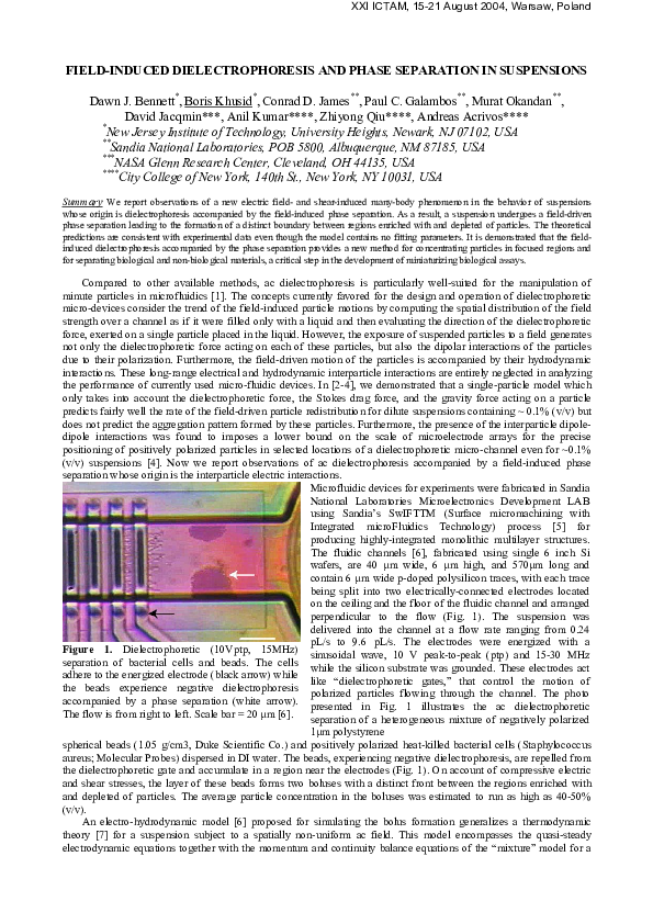 (PDF) FIELD-INDUCED DIELECTROPHORESIS AND PHASE SEPARATION IN SUSPENSIONS