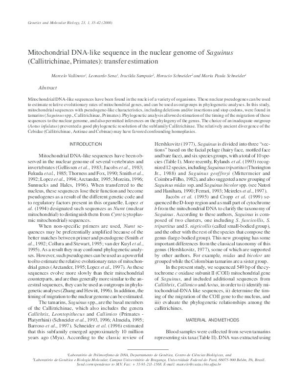 (PDF) Mitochondrial DNAlike sequence in the nuclear genome of Saguinus