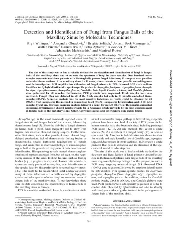 Structure of fungi pdf image