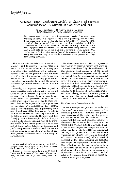 What are the differences of verification theory and falsification theory picture