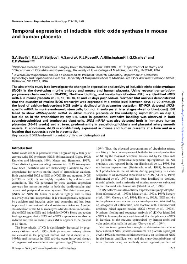 (PDF) Temporal expression of inducible nitric oxide synthase in mouse ...