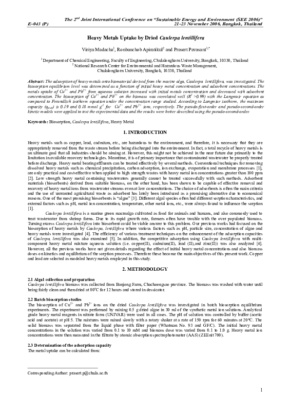 Sea grape seaweed image