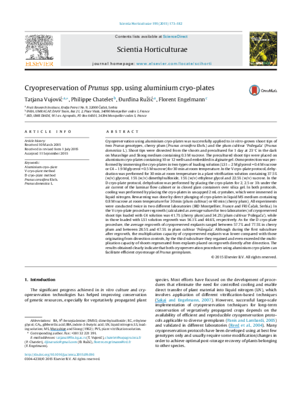 Cryopreservation ppt picture