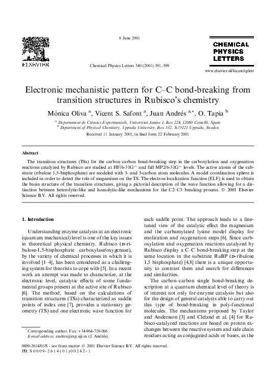 What is rubisco in photosynthesis picture