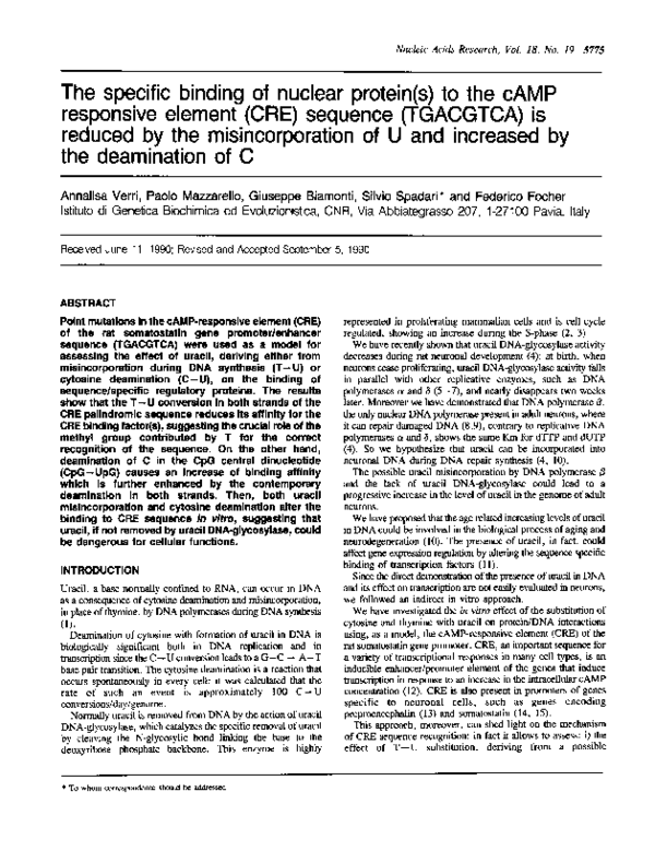 (PDF) The specific binding of nuclear protein(s) to the cAMP responsive ...