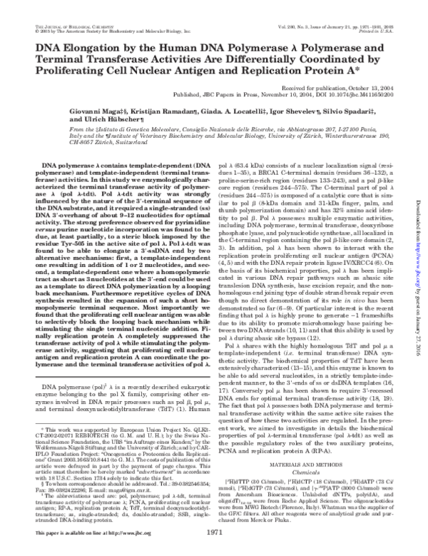 (PDF) DNA Elongation by the Human DNA Polymerase Polymerase and ...