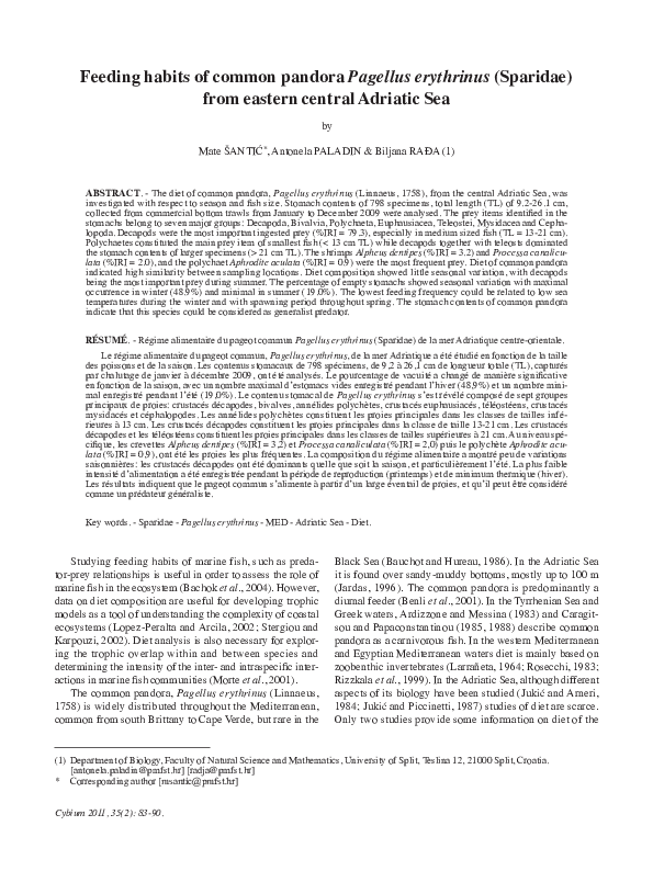 Eastern habits essay image