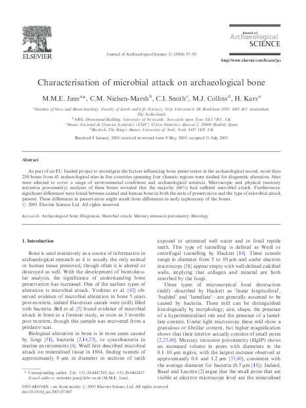 (PDF) Characterisation of microbial attack on archaeological bone