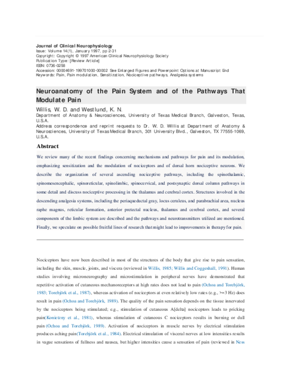 (PDF) Neuroanatomy of the Pain System and of the Pathways That Modulate ...