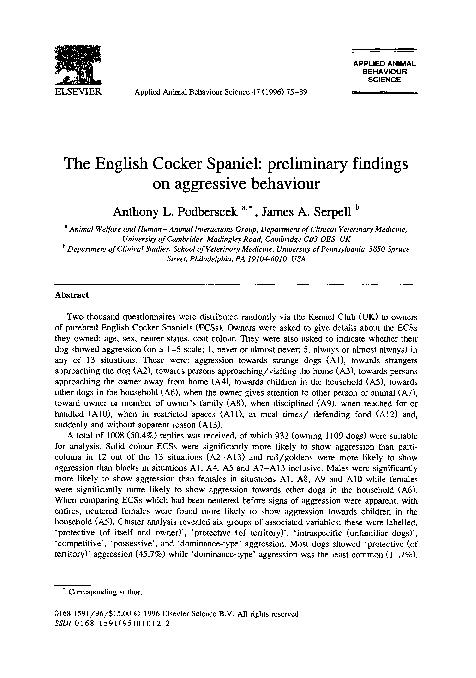cocker spaniel dominance aggression