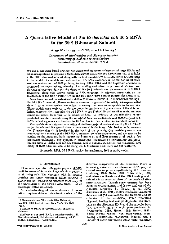(PDF) A Quantitative Model of the Escherichia coli 16 S RNA in the 30 S ...