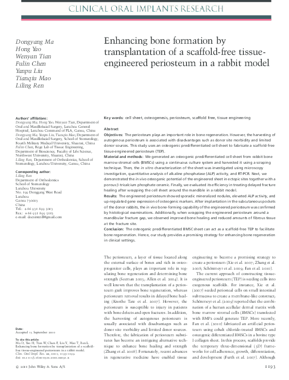 (PDF) Enhancing bone formation by transplantation of a scaffold-free ...