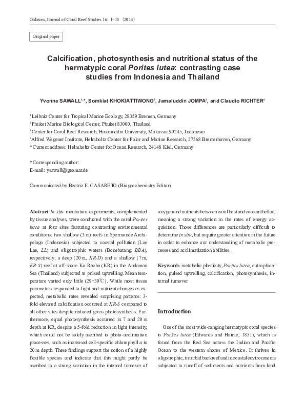 Essay on photosynthesis for class 5 picture