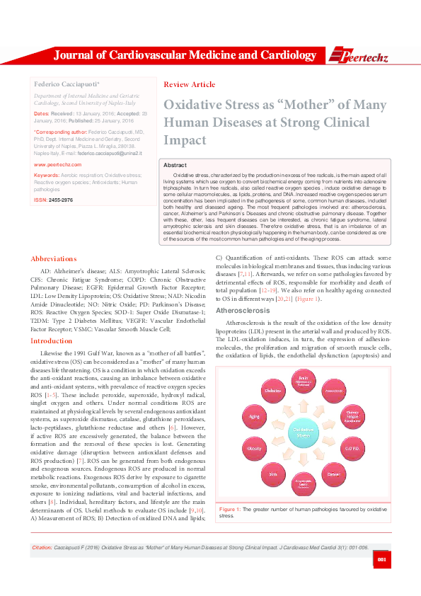 (PDF) Oxidative Stress as "Mother" of Many Human Diseases at Strong ...