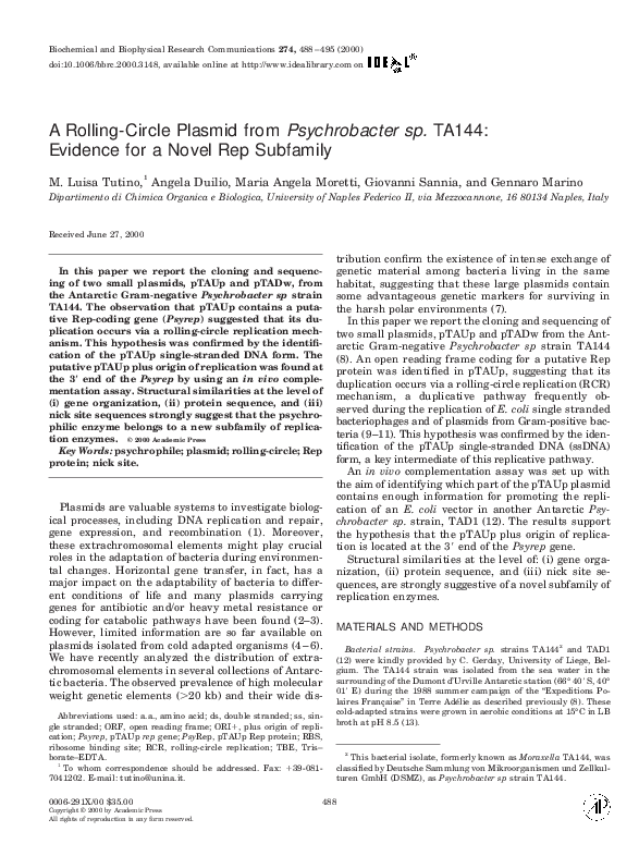 (PDF) A Rolling-Circle Plasmid from Psychrobacter sp. TA144: Evidence ...