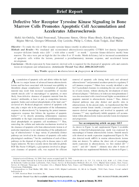 (PDF) Defective Mer Receptor Tyrosine Kinase Signaling in Bone Marrow ...