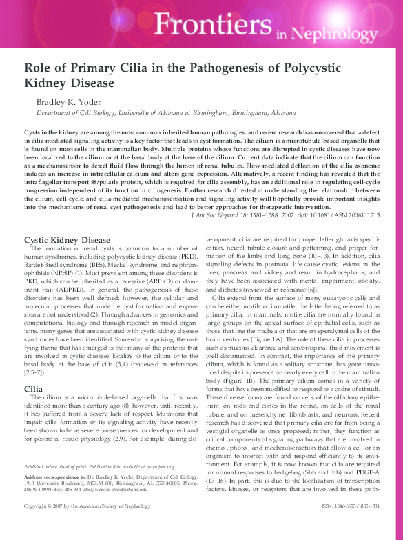 (PDF) Role of Primary Cilia in the Pathogenesis of Polycystic Kidney ...