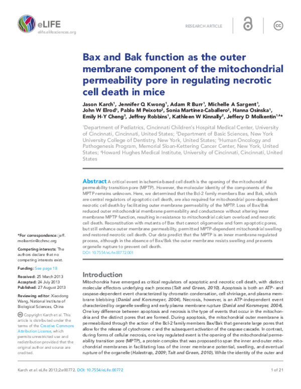 (PDF) Bax and Bak function as the outer membrane component of the ...