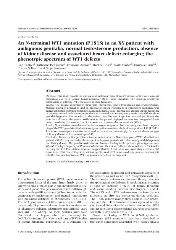 (PDF) An N-terminal WT1 mutation (P181S) in an XY patient with ...