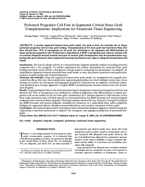 (PDF) Periosteal Progenitor Cell Fate in Segmental Cortical Bone Graft ...