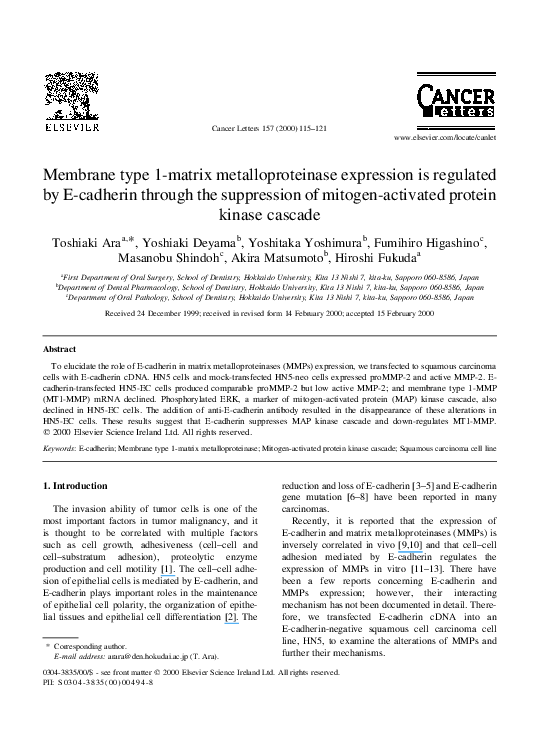 (PDF) Membrane type 1-matrix metalloproteinase expression is regulated ...