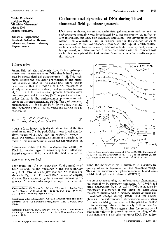 (PDF) Conformational dynamics of DNA during biased sinusoidal field gel ...