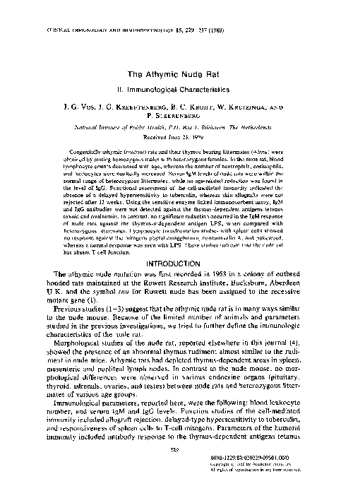(PDF) The athymic nude rat