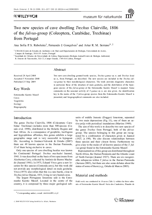 (PDF) Two new species of cave dwelling Trechus Clairville, 1806 of the ...