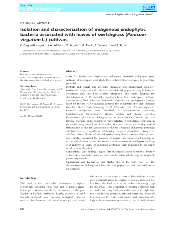 (PDF) Isolation and characterization of indigenous endophytic bacteria ...