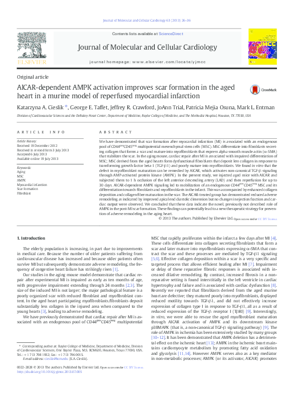 (PDF) AICAR-dependent AMPK activation improves scar formation in the ...