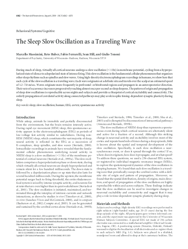 (PDF) The Sleep Slow Oscillation as a Traveling Wave