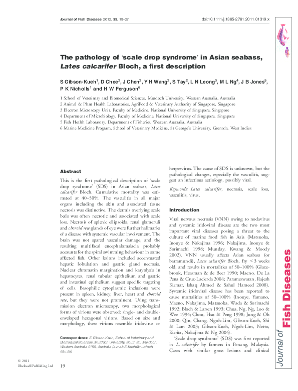 Recipe for chilean sea bass image