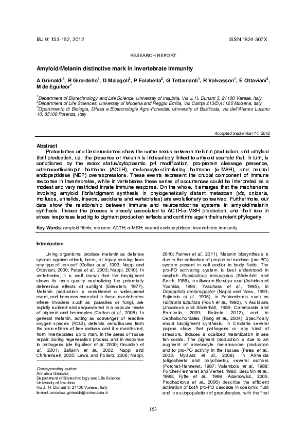 Pdf Amyloidmelanin Distinctive Mark In Invertebrate - 