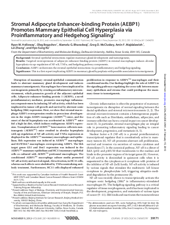 (PDF) Stromal Adipocyte Enhancer-binding Protein (AEBP1) Promotes ...