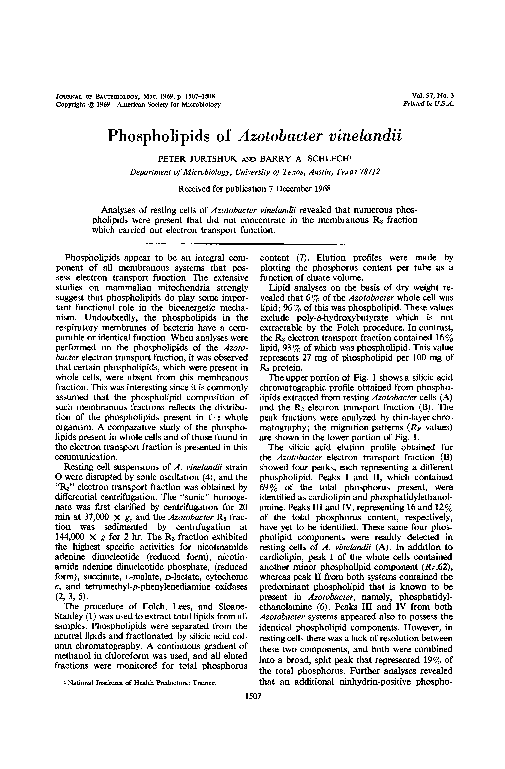 (PDF) Phospholipids of Azotobacter vinelandii