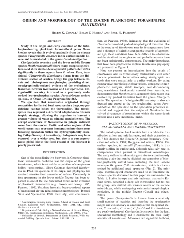 (PDF) ORIGIN AND MORPHOLOGY OF THE EOCENE PLANKTONIC FORAMINIFER HANTKENINA