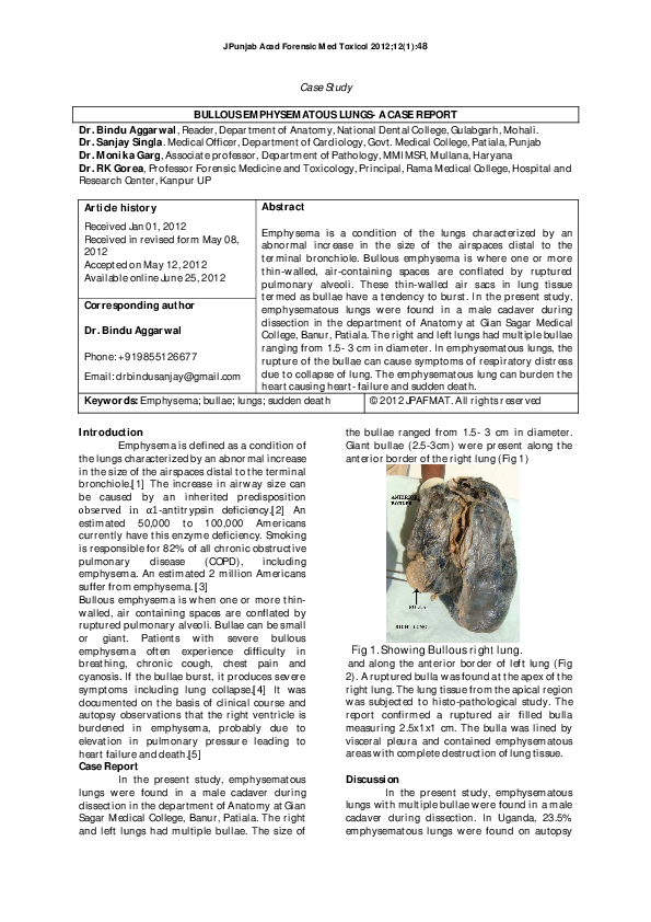 (PDF) Bullous Emphysematous Lungs- A Case Report