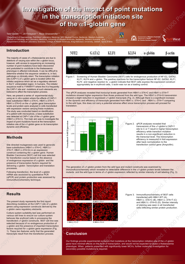 (PDF) Investigation of the impact of point mutations in the ...
