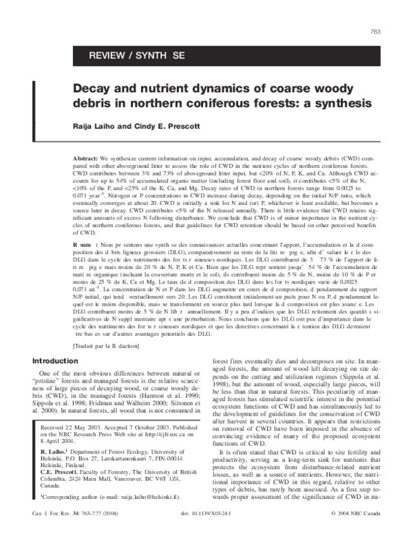 Coniferous forest essay image