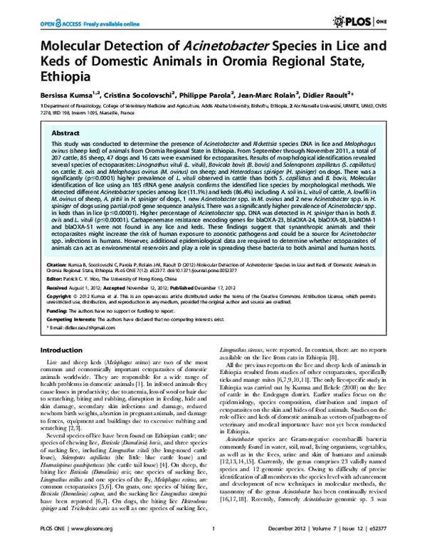 (PDF) Molecular Detection of Acinetobacter Species in Lice and Keds of ...
