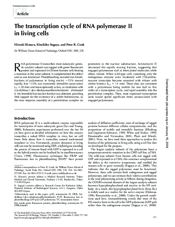 (PDF) The transcription cycle of RNA polymerase II in living cells
