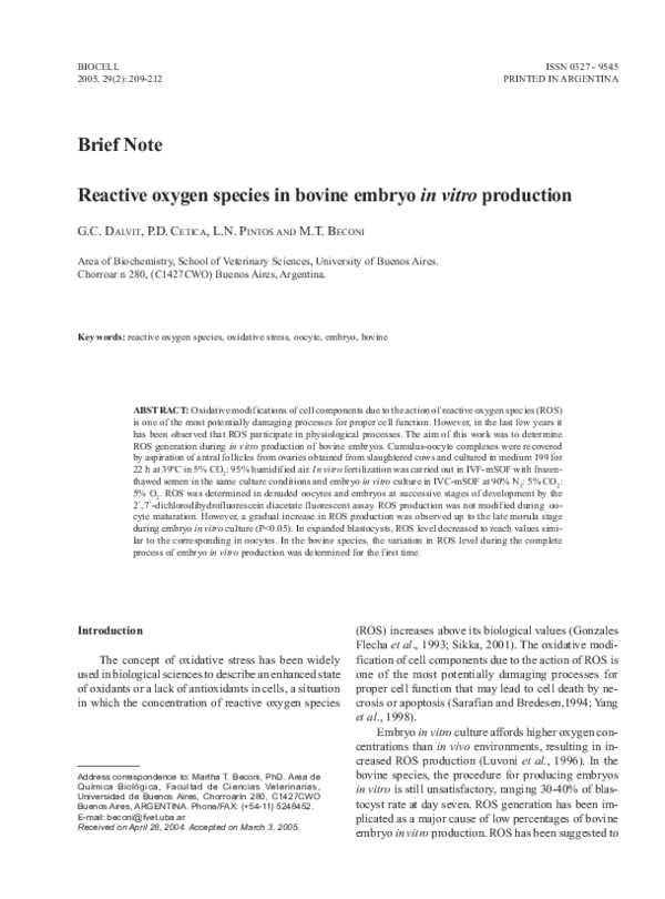 Embryo selection essay picture