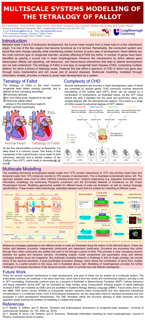 (PDF) Multiscale systems modeling of the tetralogy of Fallot