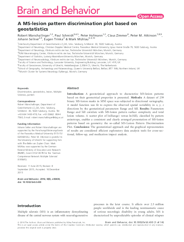 A MS-lesion pattern discrimination plot based on geostatistics
