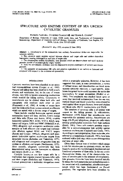 (PDF) Structure and enzyme content of sea urchin cytolytic granules