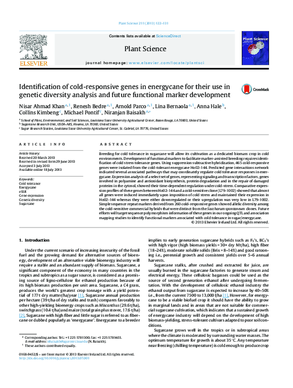 (PDF) Identification of cold-responsive genes in energycane for their ...