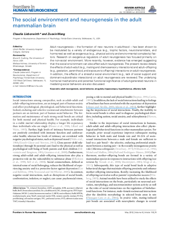 (PDF) The social environment and neurogenesis in the adult Mammalian brain