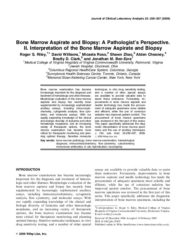 Bone marrow essays 04 picture