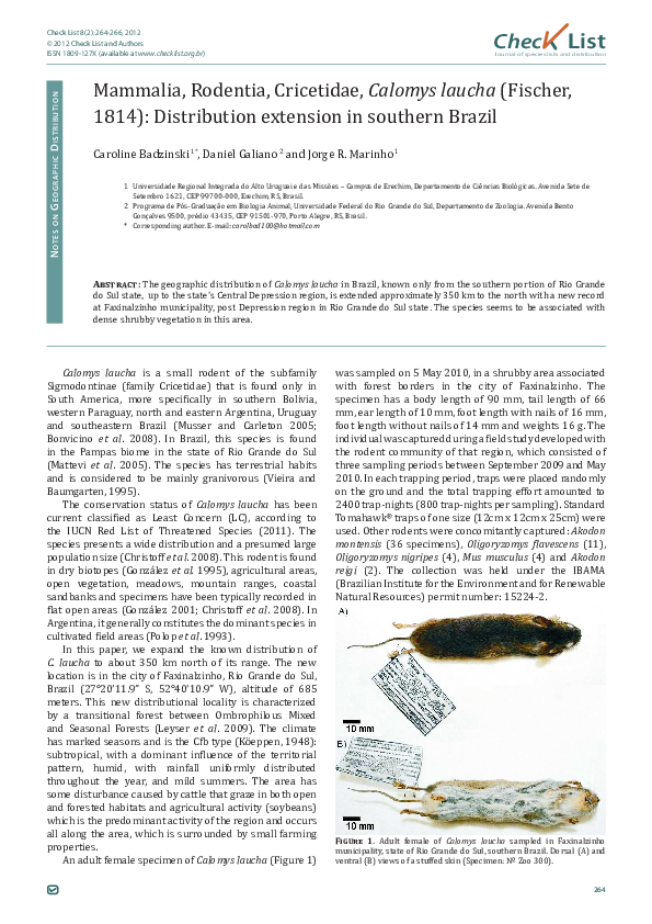 (PDF) Mammalia, Rodentia, Cricetidae, Calomys laucha (Fischer, 1814 ...